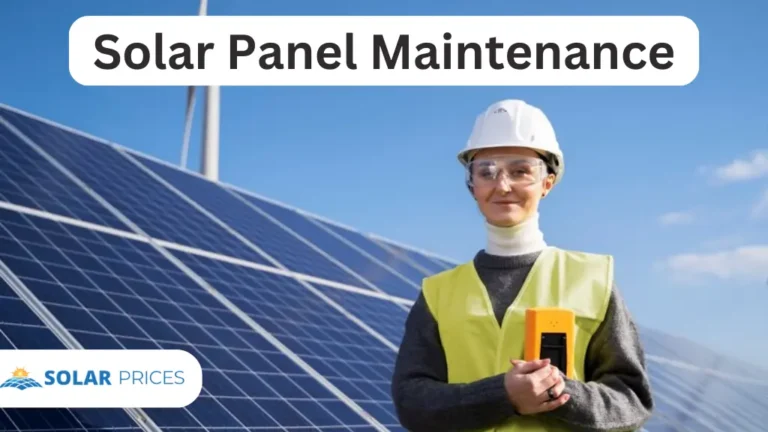 Solar Panel Maintenance: Everything you need to know